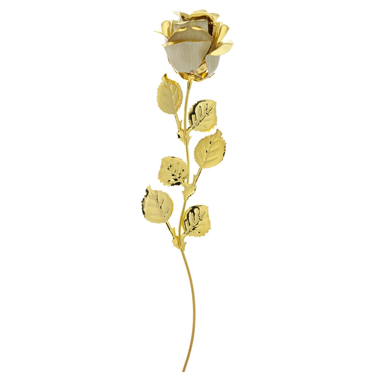 3x ROSA CM 39 - DORATA BIANCO (WITHOUT PACK)